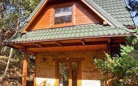 Domek W Krynicy Z Sauna